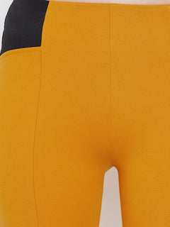 TRIYA RAS Premium Ankle Length Women Jegging (with Strip Design)