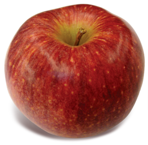 Apple (Organic)
